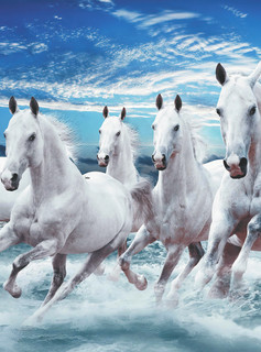 Лошади. Большая визуальная энциклопедия 4