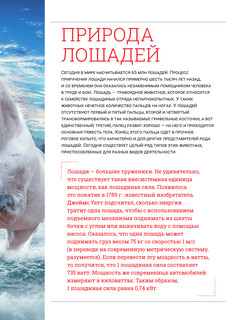 Лошади. Большая визуальная энциклопедия 5