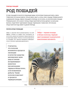Лошади. Большая визуальная энциклопедия 6