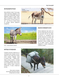 Лошади. Большая визуальная энциклопедия 7