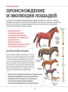 Лошади. Большая визуальная энциклопедия 8