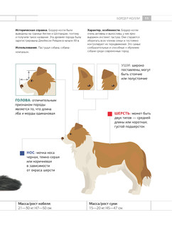 Определитель собак. Физические характеристики и особеннности породы 11