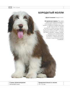 Определитель собак. Физические характеристики и особеннности породы 12