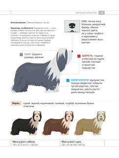 Определитель собак. Физические характеристики и особеннности породы 13