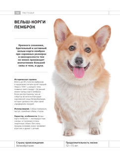 Определитель собак. Физические характеристики и особеннности породы 16