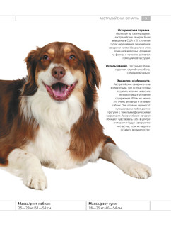Определитель собак. Физические характеристики и особеннности породы 5