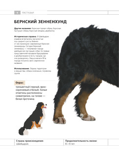 Определитель собак. Физические характеристики и особеннности породы 6