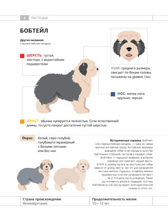 Определитель собак. Физические характеристики и особеннности породы 8