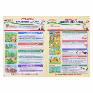 Что нужно знать в 4 классе: наглядный материал по школьной программе 3