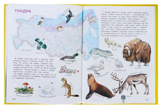 Мир и человек. Мой любимый географический атлас 11