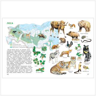 Мир и человек. Мой любимый географический атлас 3