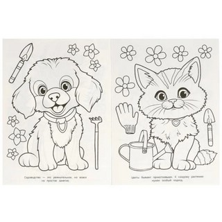 Чудесный сад. Раскраска 2