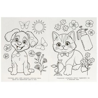 Чудесный сад. Раскраска 3