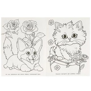 Чудесный сад. Раскраска 4