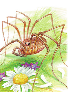 Сказки. К 130-летию писателя 9