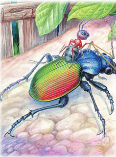 Сказки. К 130-летию писателя 10