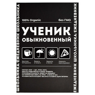 Ежедневник школьника, А5, 64 листа, твёрдый переплёт