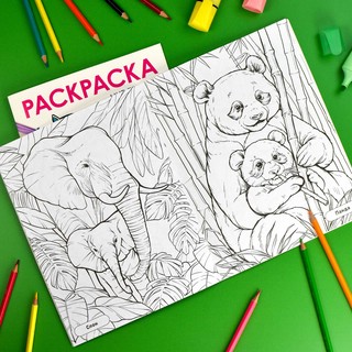 Книжка-раскраска Мир природы. Животные 3