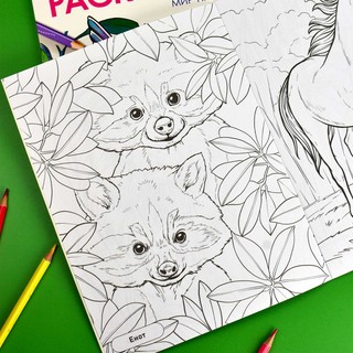 Книжка-раскраска Мир природы. Животные 4