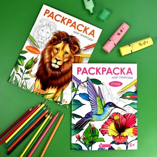 Книжка-раскраска Мир природы. Животные 5