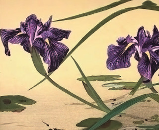 Хокку. Японская лирика. Миниатюры в футляре 13