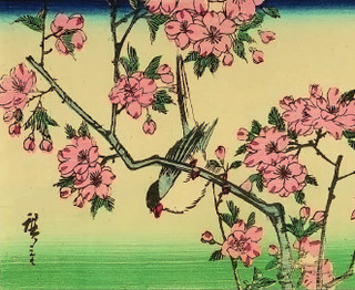 Хокку. Японская лирика. Миниатюры в футляре 15