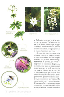 Аленький цветочек, или Растения-изобретатели 10