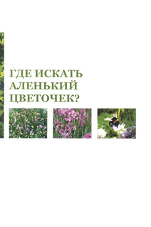 Аленький цветочек, или Растения-изобретатели 3