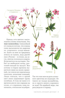 Аленький цветочек, или Растения-изобретатели 5