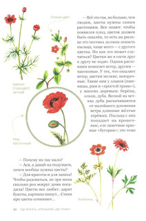 Аленький цветочек, или Растения-изобретатели 8