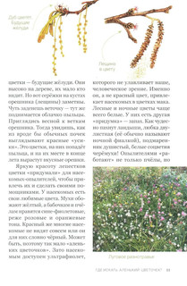 Аленький цветочек, или Растения-изобретатели 9