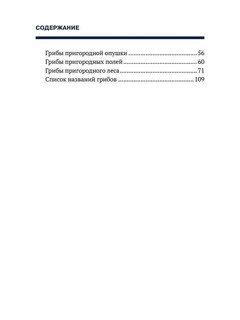 Путеводитель по грибным местам. Город и окрестности 5