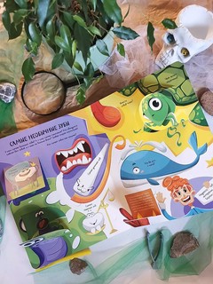 Всё о зубах. Открывай и изучай! 60+ окошек 10