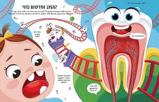 Всё о зубах. Открывай и изучай! 60+ окошек 11