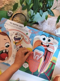 Всё о зубах. Открывай и изучай! 60+ окошек 8