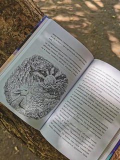 Книжный лес 10