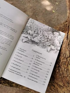 Книжный лес 6