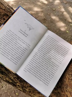 Книжный лес 7
