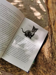 Книжный лес 8