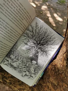 Книжный лес 9