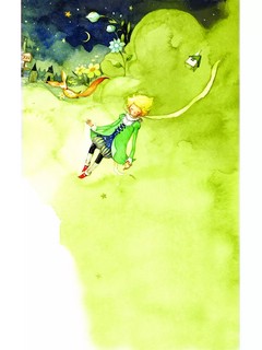 Маленький принц 13