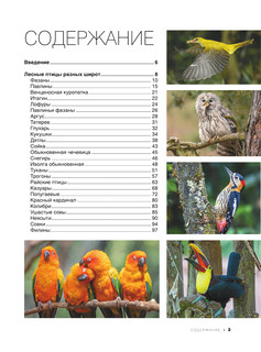 Большая книга о птицах. 1001 фотография 5