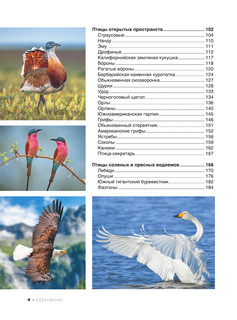 Большая книга о птицах. 1001 фотография 6