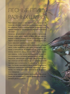 Большая книга о птицах. 1001 фотография 10