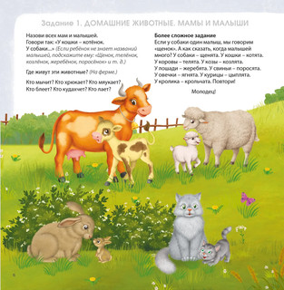 Альбом для развития мозга 3+ 5