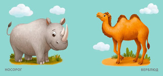 Книжка для купания. Дикие животные 5