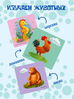 Книжка для купания. Домашние животные 3