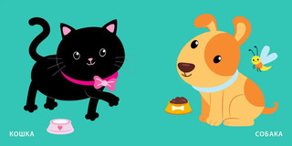 Книжка для купания. Книжка-проявляшка для малышки 5