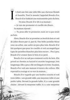 Мир волшебных сказок на французском языке 9