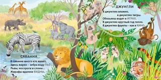 Кто где живет. Книжки-картонки, загадки-рифмы 3